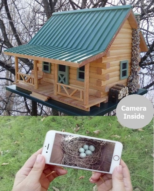 Birdhouse with camera inside, Birdhouse watch nest inside with camera